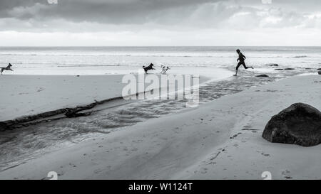 Running with the dogs along Glencairn beach on South Africa's False Bay coastline, near Cape Town, during the country's winter months Stock Photo