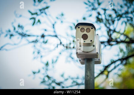 cctv security camera installed a top of round metal pole for surveillance nearby with natural background. Stock Photo