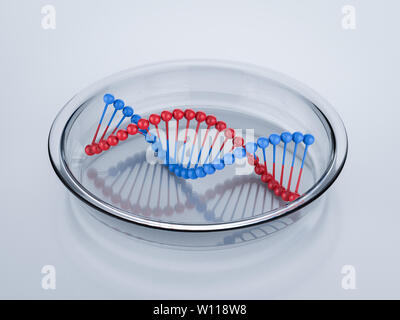 3d rendering red and blue dna helix structure Stock Photo