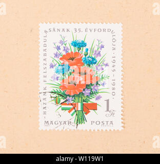 HUNGARY  - CIRCA 1980: A stamp printed in Hungary shows flowers, circa 1980 Stock Photo