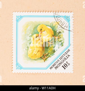 MONGOLIA - CIRCA 1973: A stamp printed in Mongolia shows two chicks, circa 1973 Stock Photo