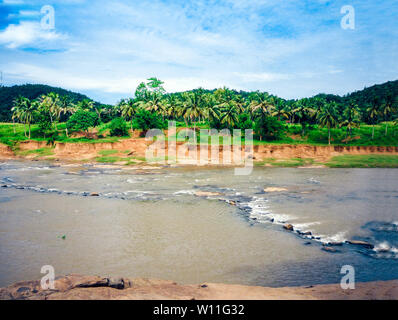 Oya river in Sri Lanka, Pinnawala Elephant Orphanage Stock Photo