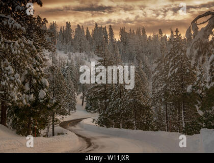 Mountain road highway 120 towards Yosemite, California, USA, on a winters day featuring snow on the  road in the sunrise Stock Photo