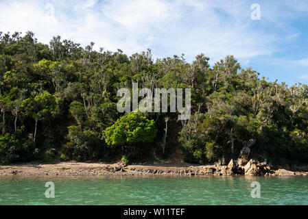 Kariega River, Sibuya Game Reserve, South Africa Stock Photo