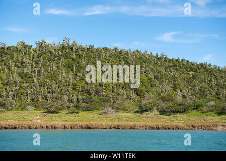 Kariega River, Sibuya Game Reserve, South Africa Stock Photo