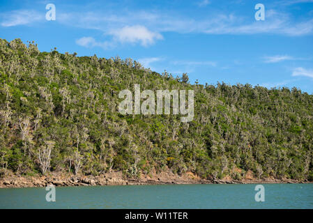 Kariega River, Sibuya Game Reserve, South Africa Stock Photo