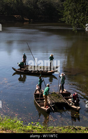 Workers clearing weed from a lake on a wooden boat in Prasat Bakong, Angkor Ancient Site in Siem Reap, Cambodia Stock Photo