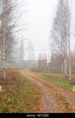 Dirt road winding through foggy autumn landscape Stock Photo