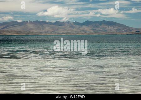 Lake Manasaroval near Mount Kailash against the blue sky and white clouds, Tibet, China Stock Photo