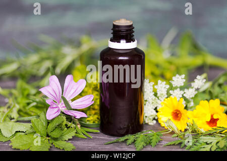 Alternative and complementary medicine. Essential oils and medical flowers herbs Stock Photo