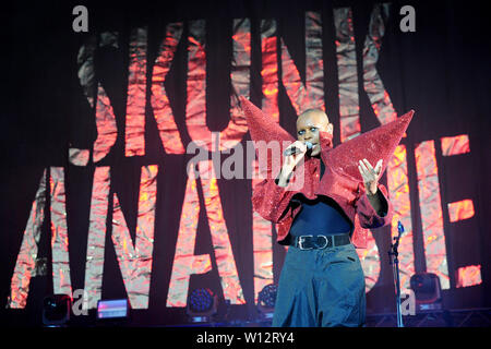 The Hague, Netherlands. 29th June, 2019. The Hague, 29-06-2019, Parkpop Saturday Night, Zuiderpark, Skunk Anansie Credit: Pro Shots/Alamy Live News Stock Photo