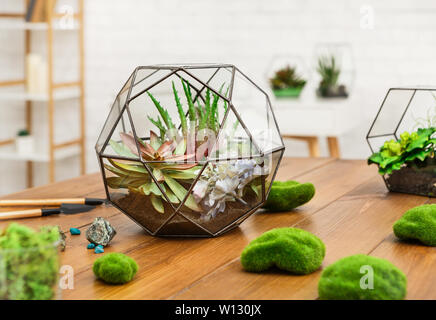 Glass geometric vases with indoor plants on wooden table. Stock Photo