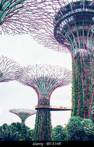SINGAPORE, SINGAPORE - MARCH 2019: Supertree Grove & OCBC Skyway at ...