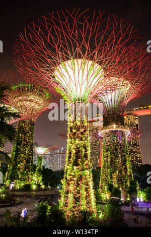 SINGAPORE, SINGAPORE - MARCH 2019: Supertrees illuminated for light show in gardens by the bay Stock Photo
