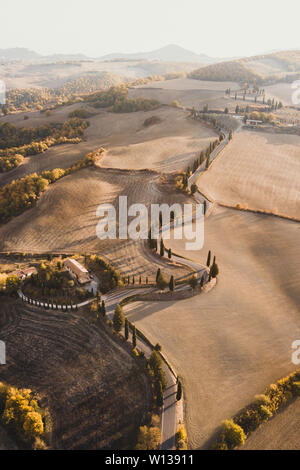 Aerial drone landscape of famous Tuscany hills, Italy. Abstract view of curved serpentine road with cypress alley. Empty agricultural fields in autumn Stock Photo