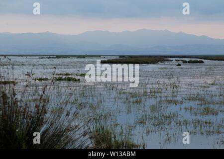 Samsun. 28th June, 2019. Photo taken on June 28, 2019 shows the wetland scenery in Kizilirmak Delta in Samsun, Turkey. The Kizilirmak Delta, which takes its name from the Kizilirmak River, is located in the Bafra district of northern Samsun province, where the river empties into the Black Sea. Moreover, the delta is one of the most prominent wetlands in Turkey and hosts many small and big lakes and various animal species. Credit: Qin Yanyang/Xinhua/Alamy Live News Stock Photo