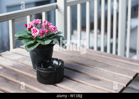 Pink flower with ceramic ashtray on wooden table at balcony Stock Photo