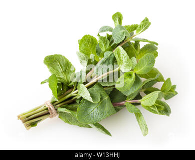Fresh mint leaves isolated on white background Stock Photo