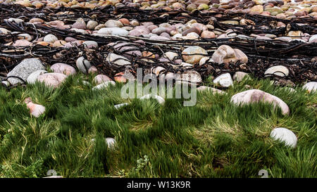 The Smitswinkel Bay shoreline on South Africa's False Bay coastline, near the city of Cape Town Stock Photo