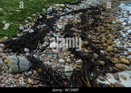 The Smitswinkel Bay shoreline on South Africa's False Bay coastline, near the city of Cape Town Stock Photo