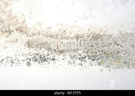 Contaminated moldy white walls Stock Photo