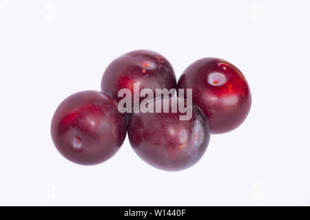 close up of red cherry plums isolated on white background.four ripe red cherry plums. Stock Photo