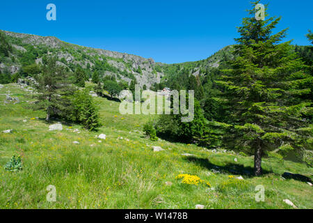 beautiful landscape around the lac de forlet in the vosges mountains in france Stock Photo