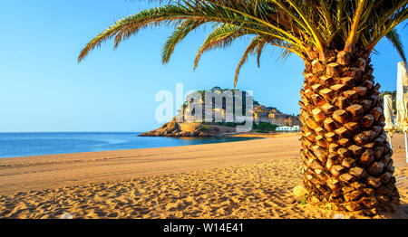 Tossa de Mar, panoramic view of the Platja Gran sand beach with palm tree and the historical walled Old Town (Vila Vella). Costa Brava, Catalonia, Spa Stock Photo