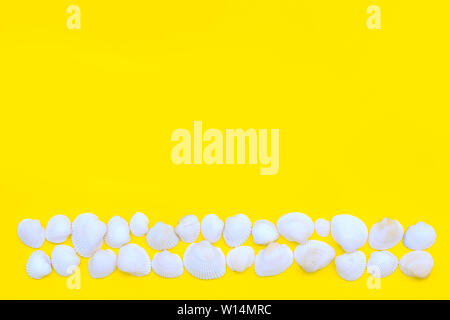 White sea shells laid out as a strip or line on a bright yellow background. Hot summer and beach theme. Copy space. Top view. Stock Photo