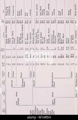 Archive image from page 25 of Descriptive catalog of vegetables for. Descriptive catalog of vegetables for canning and quick freezing . descriptivecatal1946asso Year: 1946  24 ASSOCIATED SEED GROWERS, INC. Stock Photo