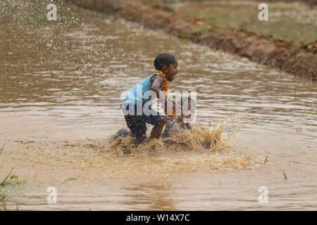 Kids play in muddy water during a Festival.Farmers celebrate National Paddy Day Festival on 'Asar 15' of the Nepali calendar as the annual rice planting season begins. Stock Photo