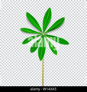 Naturalistic Colorful Lupine Leaf on Transparent Background. Vector Illustration Stock Vector