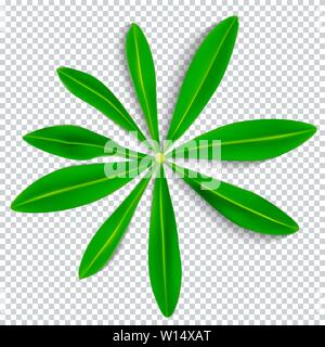 Naturalistic Colorful Lupine Leaf on Transparent Background. Vec Stock Vector