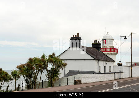 Lighthouses in Ireland and the Youghal Lighthouse rear view and palm trees in Youghal, County Cork, Ireland Stock Photo