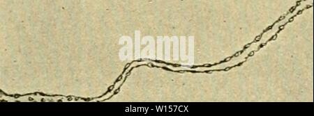 Archive image from page 120 of The development of the chick. The development of the chick : an introduction to embryology . developmentofchi02lill Year: 1936