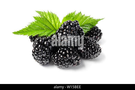 Closeup shot of fresh blackberries. Isolated on white background Stock Photo