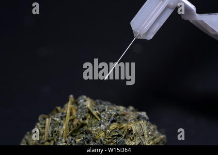 Jiaogulan herb is also often referred to as the herb of immortality. Stock Photo