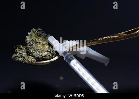 Jiaogulan herb is also often referred to as the herb of immortality. Stock Photo