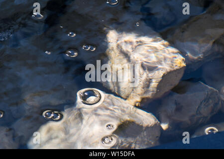 White and brown feathers  floating on crystal clear cool water with air bubbles rocks submerged under the water Stock Photo