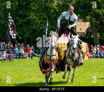 Man on horseback dressed as medieval warrior Stock Photo - Alamy