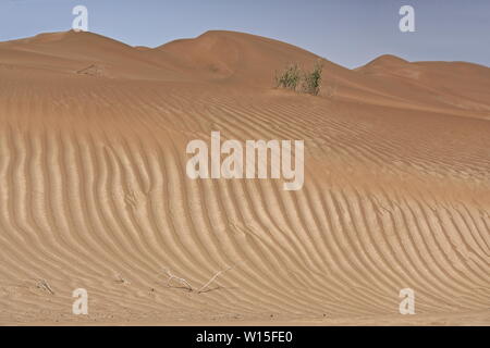 Shifting sand dunes-Takla Makan Desert. Yutian Keriya county-Xinjiang Uyghur region-China-0233 Stock Photo