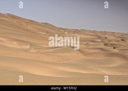 Shifting sand dunes-Takla Makan Desert. Yutian Keriya county-Xinjiang Uyghur region-China-0242 Stock Photo