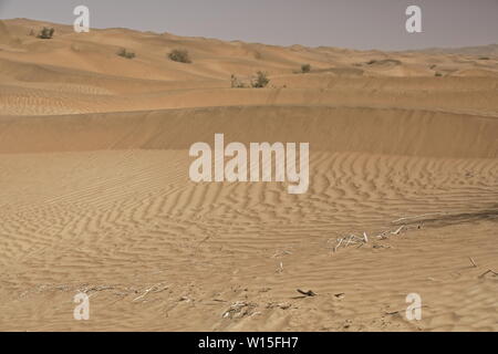 Shifting sand dunes-Takla Makan Desert. Yutian Keriya county-Xinjiang Uyghur region-China-0247 Stock Photo