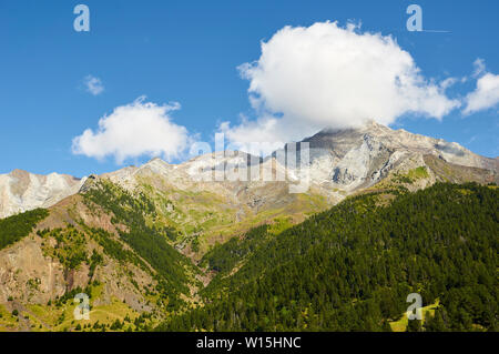 Pinar del Clot mountain pine forest (Pinus mugo) with Posets massif at the background (Viadós, Chistau valley, Sobrarbe,Huesca, Pyrenees,Aragon,Spain)