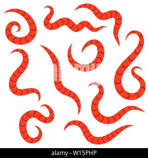 Ascarid, Helminth, Pinworm, Threadworm. Parasite Isolated on White Background Stock Vector