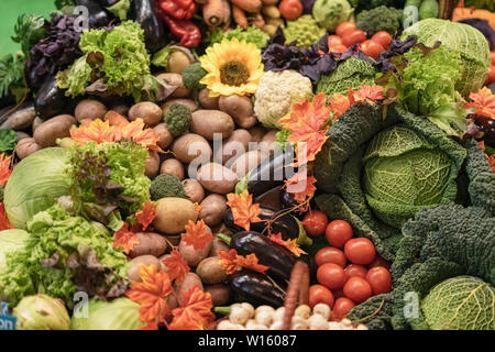 Assorted fresh ripe organic vegetables on farmers market. Top view. Live vitamins, rich harvest Stock Photo