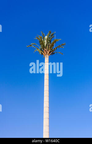 Mobile phone antenna mast disguised as a large palm tree with leaves, Langstrand, Namibia Stock Photo