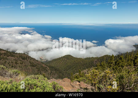 Panoramic view to Puerto de la Cruz and Orotava valley. Above wight fluffy clouds, clear blue sky and small part of La Palma island in the line of hor Stock Photo