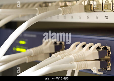 White network cables in network switch and patch box in server room - close up with selective focus Stock Photo