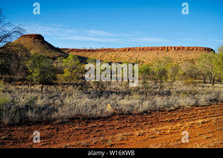 Road into Alice Springs near Barrow Creek view of mountain range Stock Photo